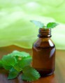 /album/aroma-terapia/menta-peperita-jpg/